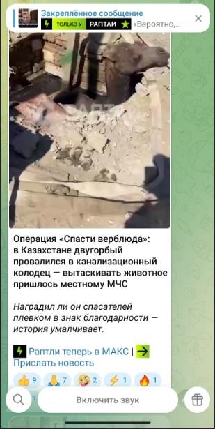 Бывайте лошары