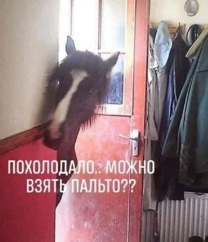 Веселое настроение в картинках 13.08.26