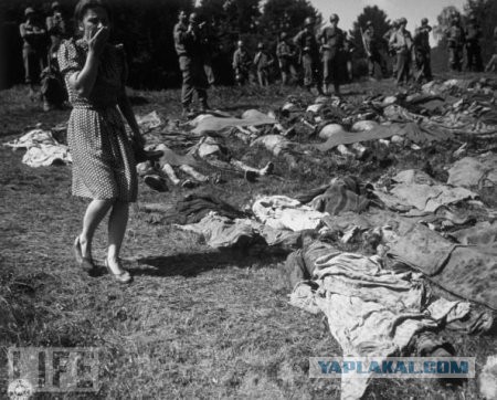 Охотники за черепами из U.S.Army