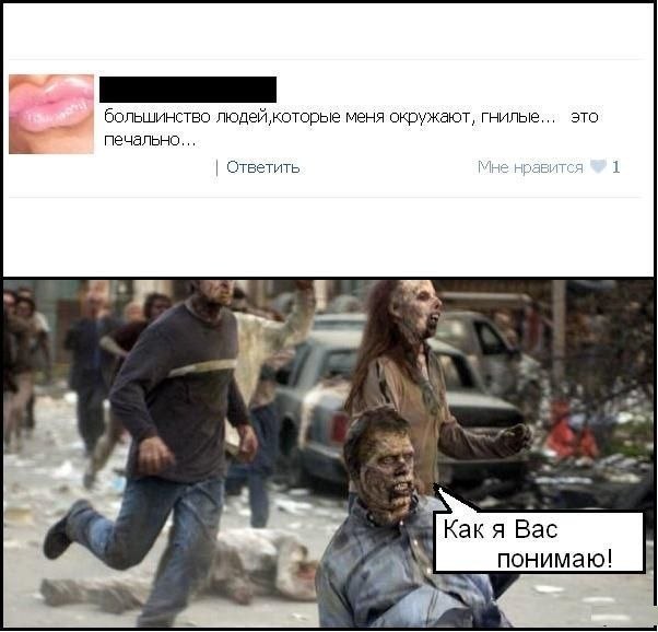 Смешные комментарии из социальных сетей