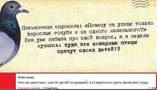 Смешные комментарии из соц. сетей
