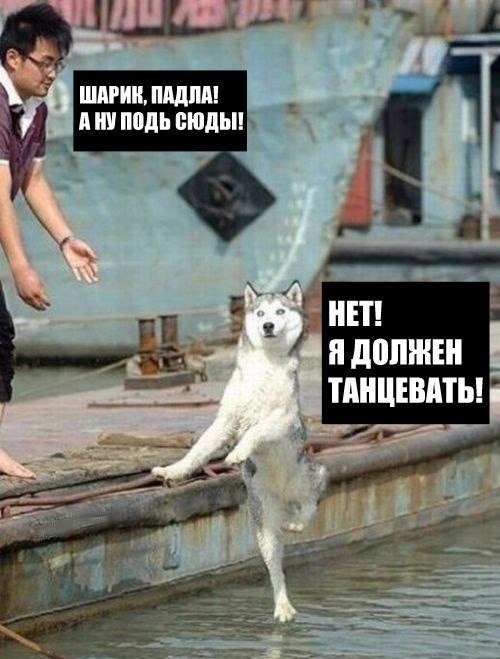 Капля позитива