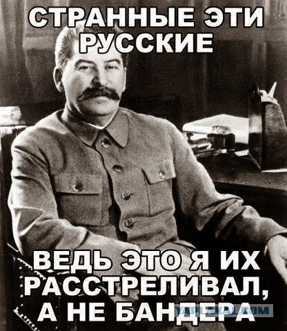 Розовая Бандера