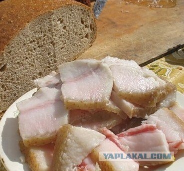 А чем завтракаешь ты?