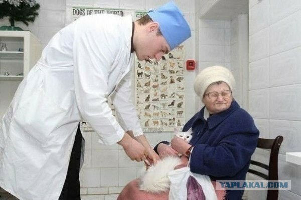 Забавные картинки и комменты из соцсети