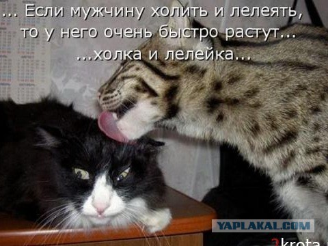 Добряки, плюсующие всех подряд