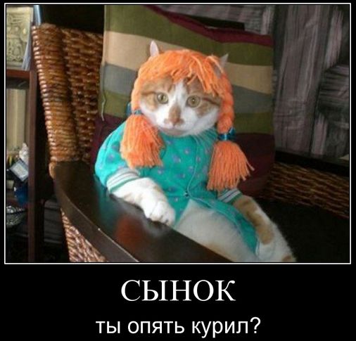 Яценюк: Экономику Украины разрушают ополченцы