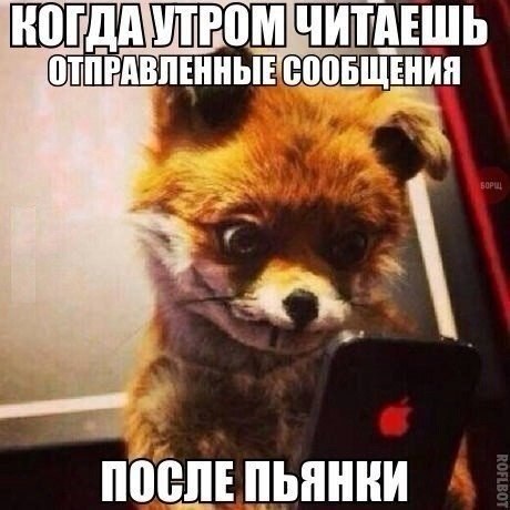 Свежие картинки из сети