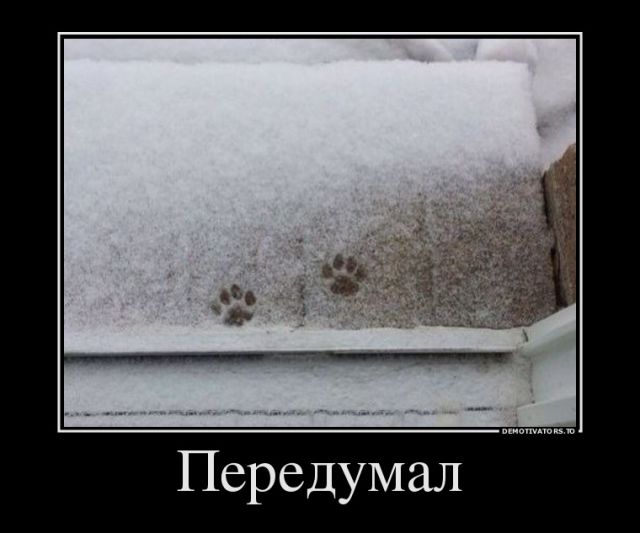 Картинки с инета.