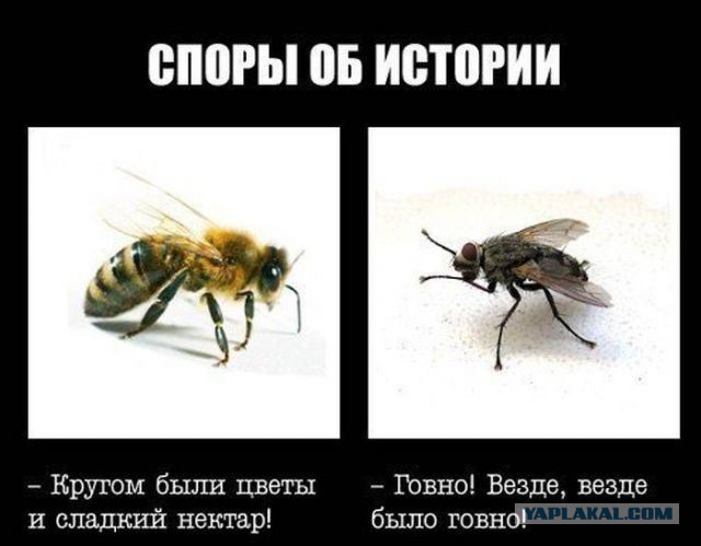 О чём молчат руины и шепчут пирамиды