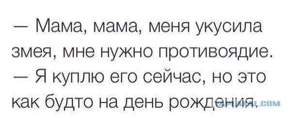 Весёлое из сети