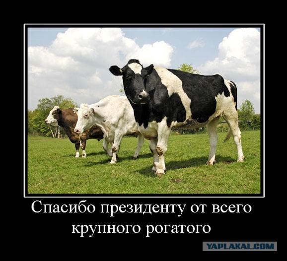 Переход на зимнее время отменён