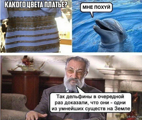 Какого цвета платье?