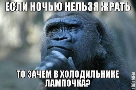 Весёлые картинки