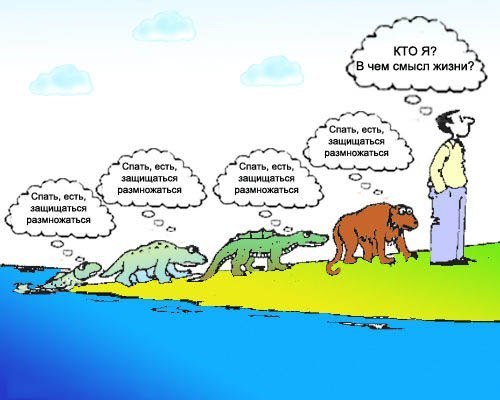 Есть ли смысл в моей жизни?