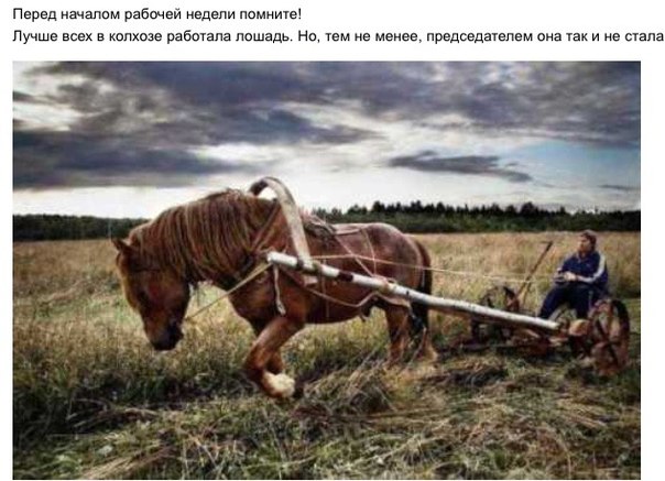 Плюшкиным посвящается