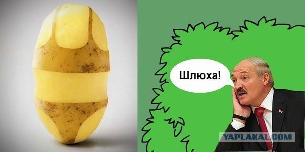 Измена с подругой - повод для ревности?