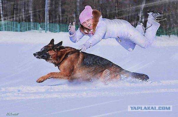 Подборка картинок