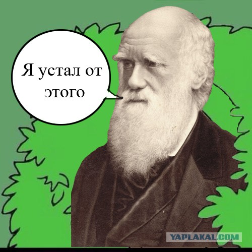 Этих людей возможно уже нет в живых