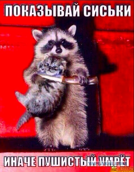 Подборка интересных и веселых картинок