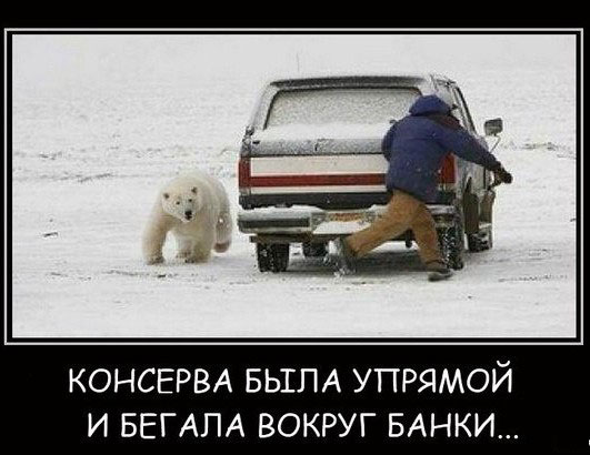 Подборка интересных и веселых картинок
