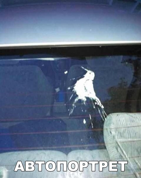 Подборка интересных и веселых картинок