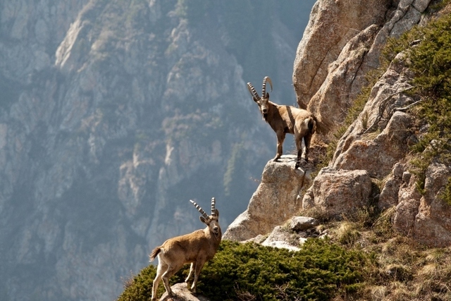 Как сегодня моего ребенка психолог тестировал