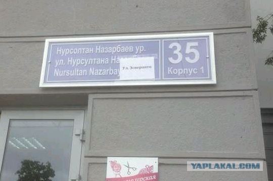 Петербуржцы уже придумали новое название для моста им. Кадырова