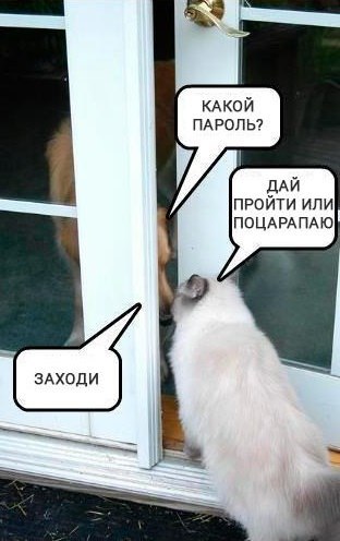 Прикольные животные