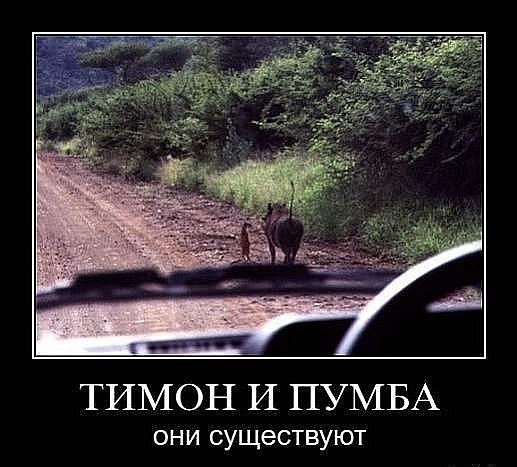 Картинки с интернетов