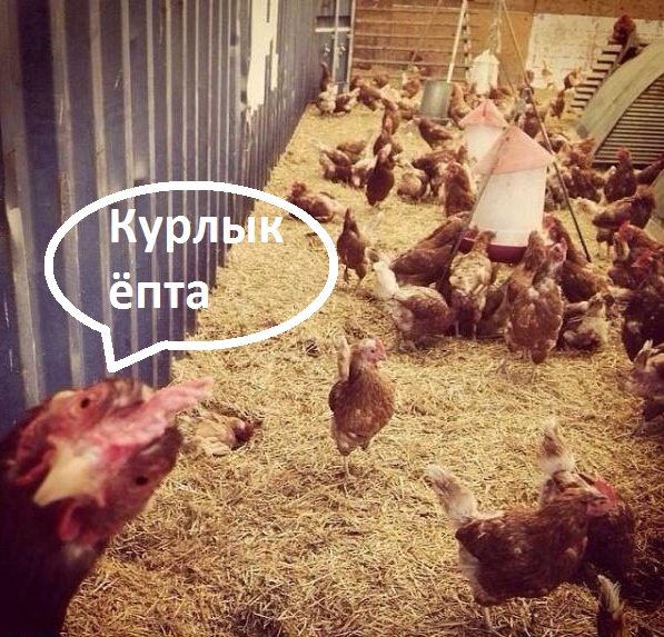 Фото из этих ваших интернетов