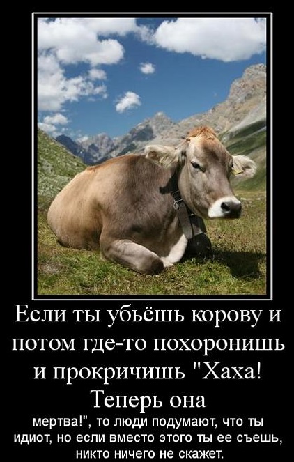 Немножко картинок с буквами, типа демотиваторы