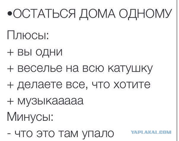 Подборка интересных и веселых картинок
