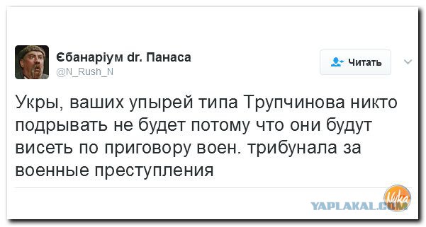 Храбрые живут вечно: в Сербии появился граффити-портрет Гиви