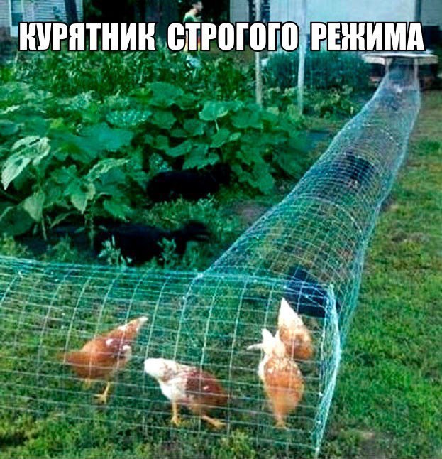 Смешные комментарии 26.02.2017
