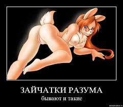 Правильные зайцы и кошки
