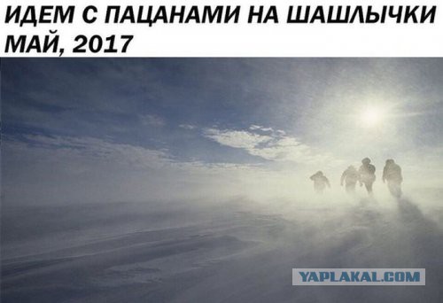 Подборка интересных и веселых картинок