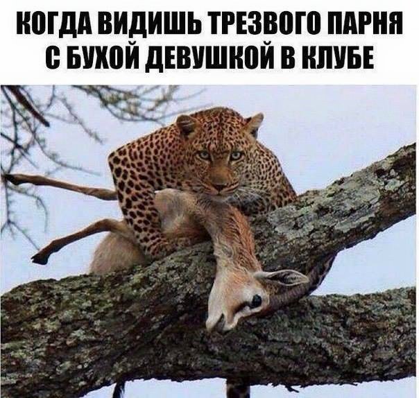 Минутка лёгкой наркомании и деградации