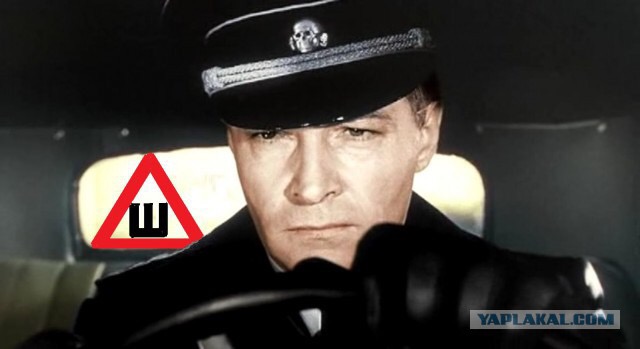 Шипы