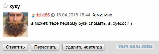 «Молодая гвардия» создаст отряды для борьбы с оппозицией на улицах