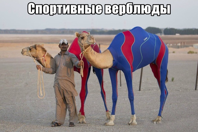 Нестандартный юмор