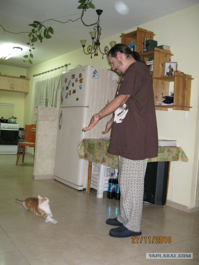 Котовторник - С праздником, котоводы!