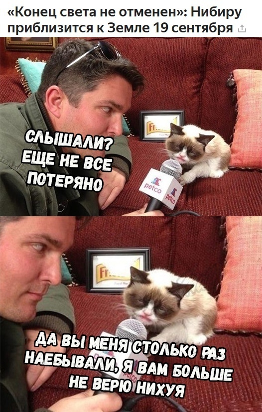 Всякое из этих ваших интернетов