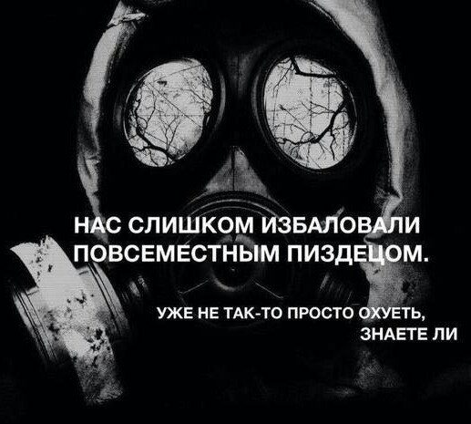 На Гаваях госпитализирован дайвер, с моллюском на пенисе