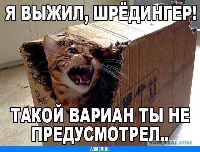 18 котов, которые плевать хотели на законы физики