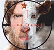 Может мир?