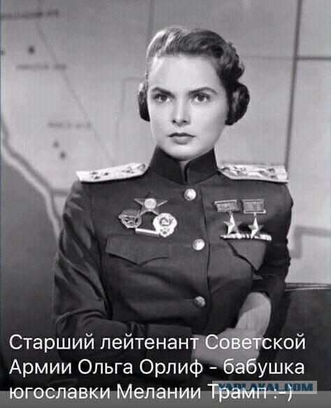 Картинок разных винегрет