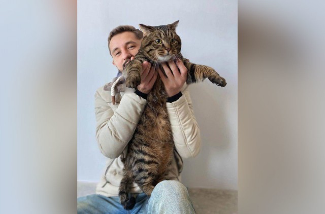 Хозяин толстого кота обратился к "Аэрофлоту" и предложил добрый финал истории