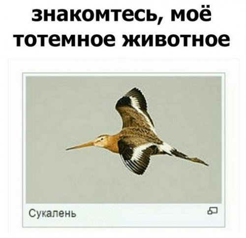 Чуток картинок!
