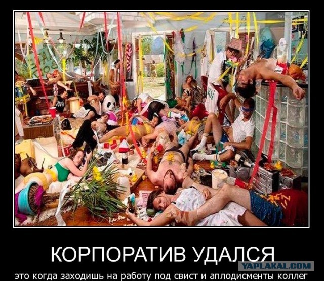Немного картинок для настроения 09.12.19
